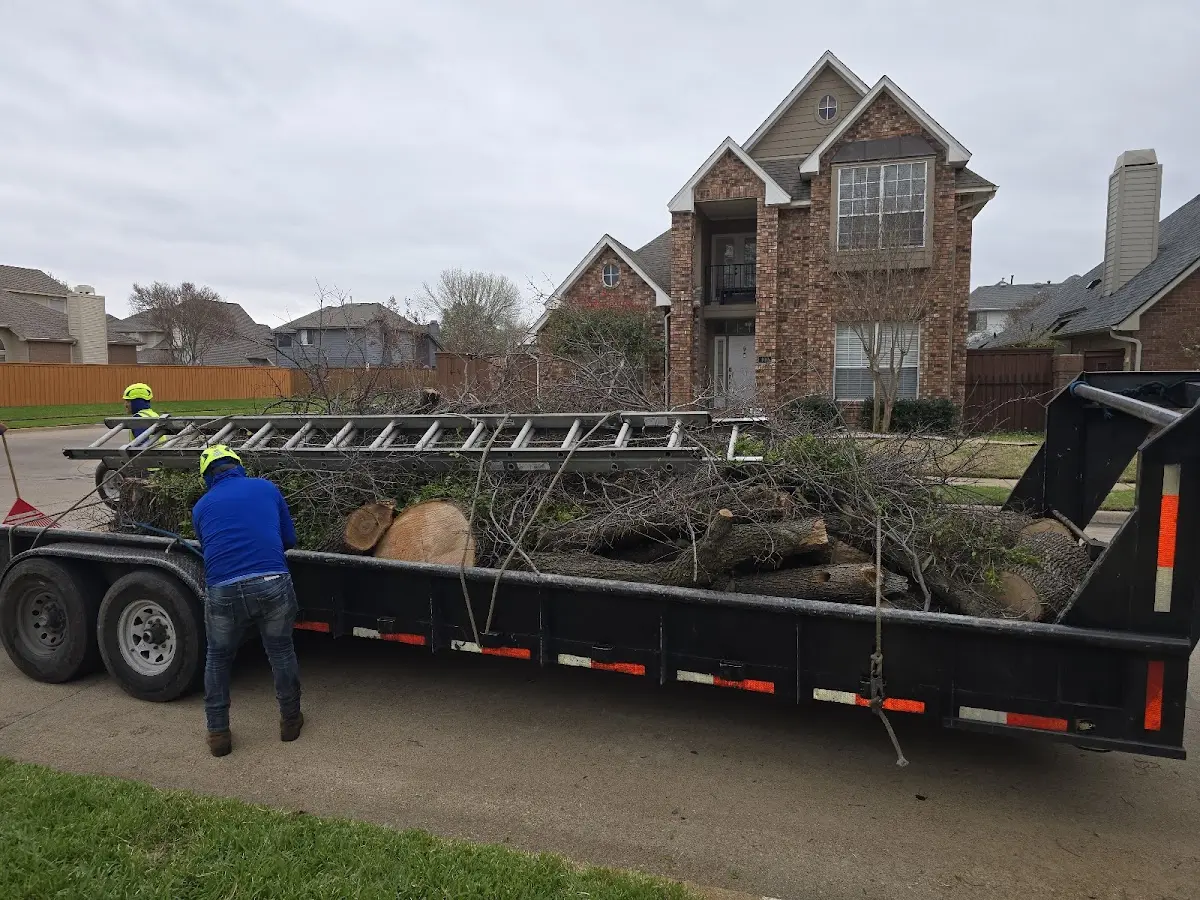 Expert Tree Removal with proper safety equipment in Perth Amboy